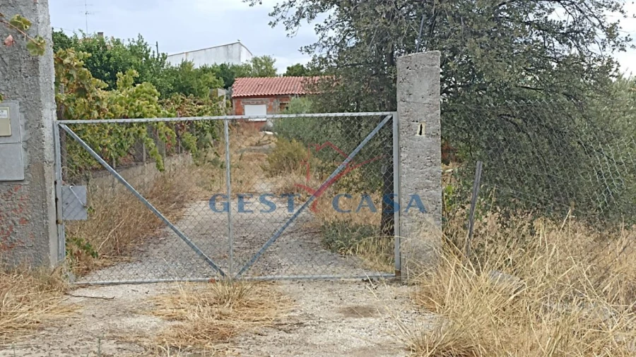Terreno para Venda em Castelo Branco Foto 10
