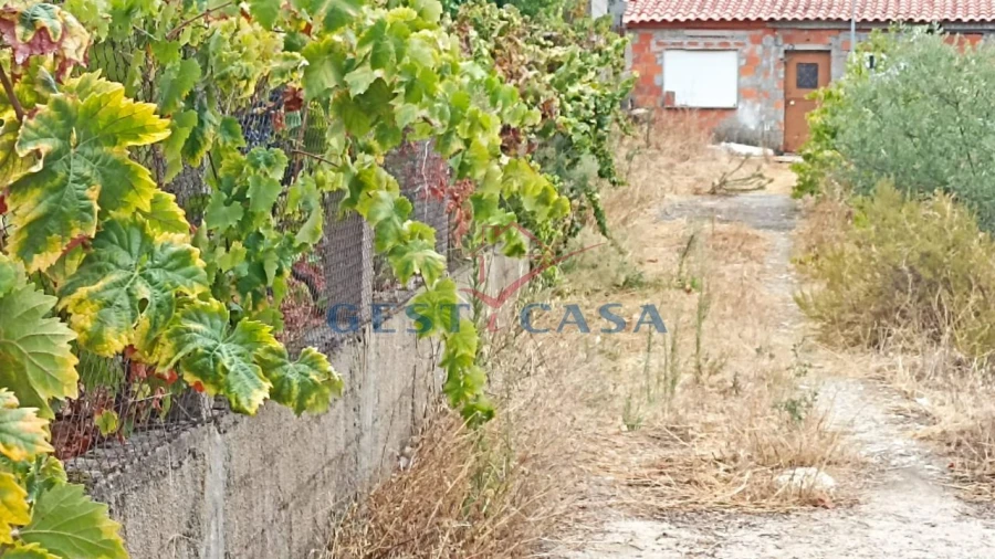 Terreno para Venda em Castelo Branco Foto 11