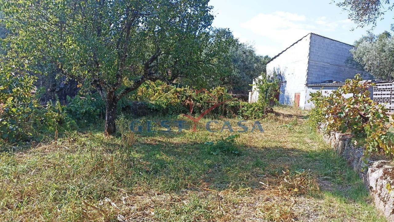 Terreno Agricola ou Rústico para Venda em Salgueiro do Campo Foto 3