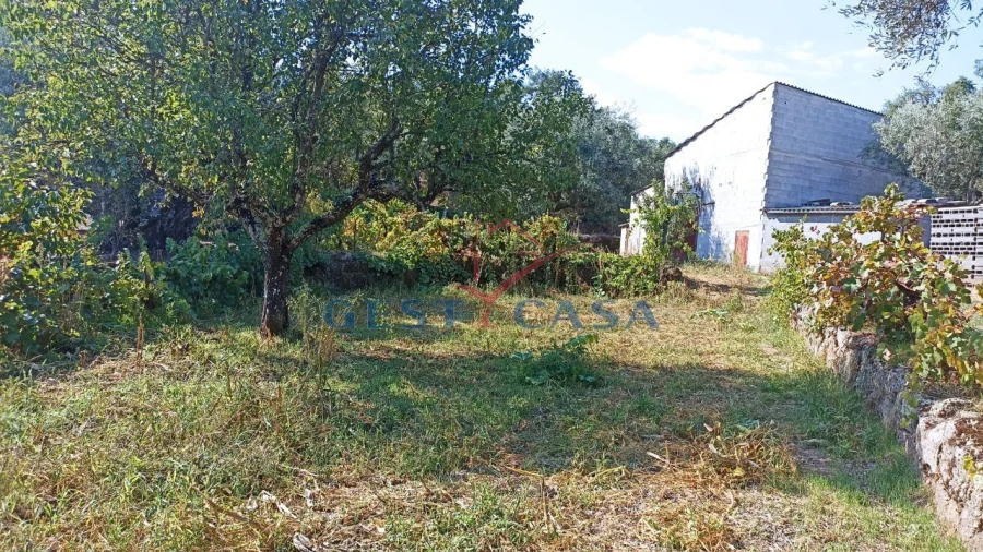 Terreno Agricola ou Rústico para Venda em Salgueiro do Campo Foto 3