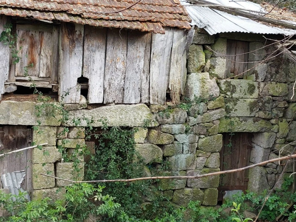 Quinta para Venda em Tendais Foto 6