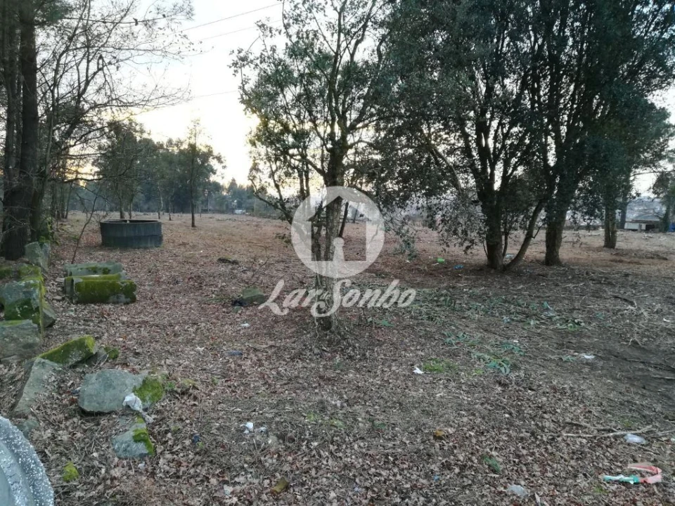 Terreno Agricola ou Rústico para Venda em Vila das Aves Foto 7