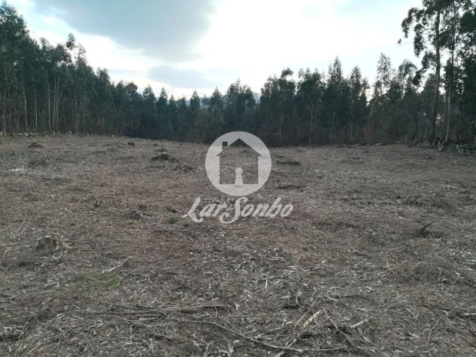 Terreno Agricola ou Rústico para Venda em Vila das Aves Foto 15