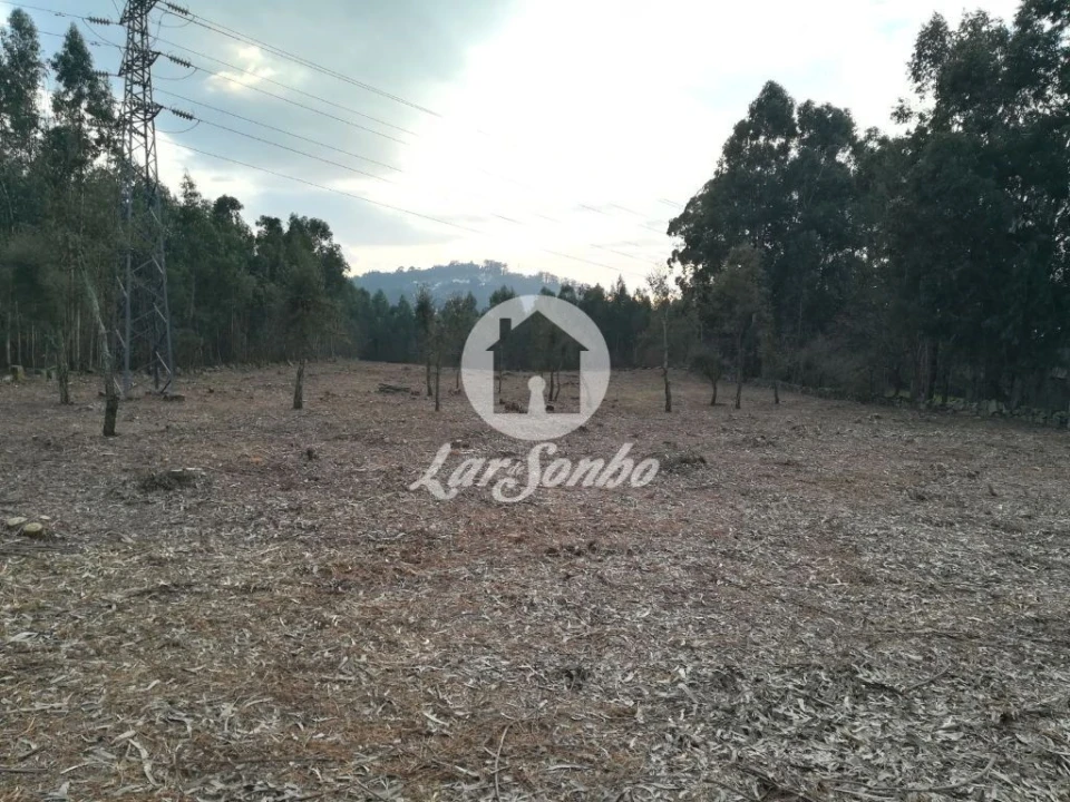 Terreno Agricola ou Rústico para Venda em Vila das Aves Foto 17