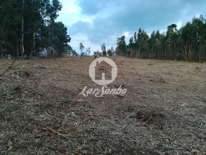 Terreno Agricola ou Rústico para Venda em Vila das Aves Foto 14