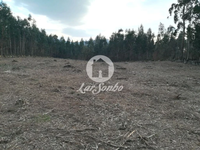 Terreno Agricola ou Rústico para Venda em Vila das Aves Foto 16