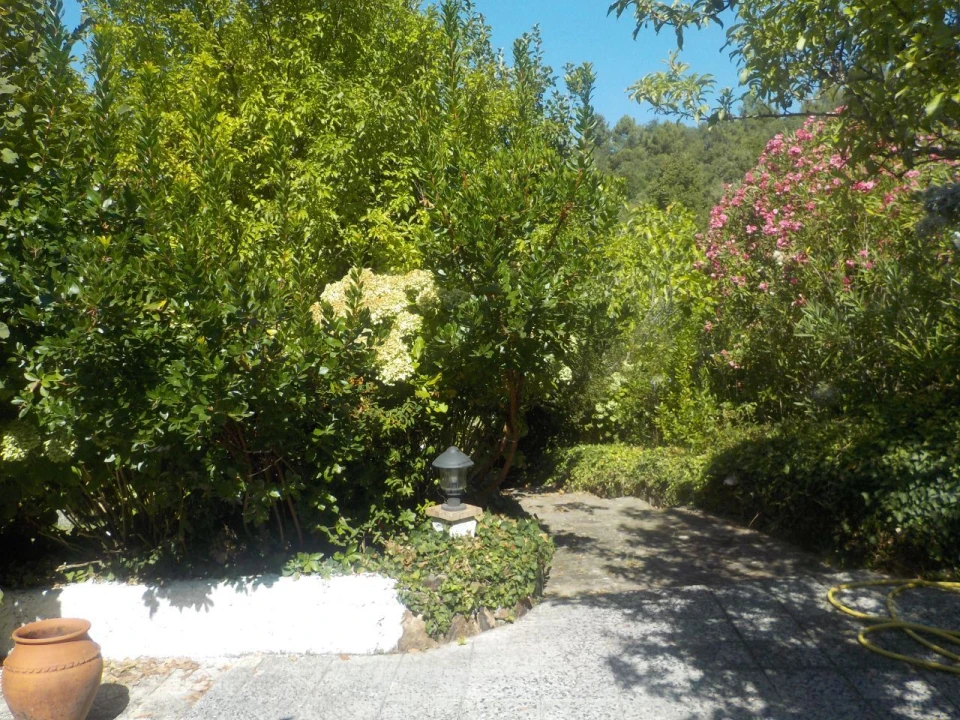 Moradia T3 para Venda em São Salvador da Aramenha Foto 17