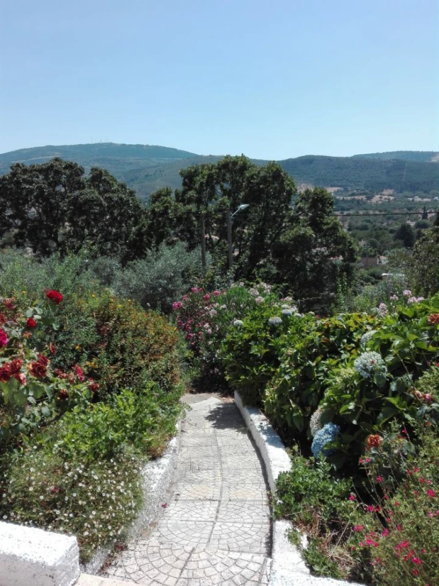 Moradia T3 para Venda em São Salvador da Aramenha Foto 15