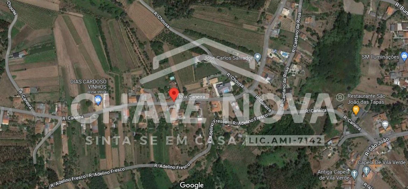 Terreno Agricola ou Rústico para Venda em Oliveira do Bairro Foto 2