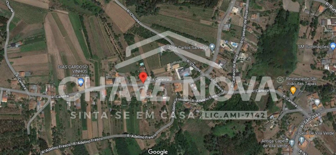 Terreno Agricola ou Rústico para Venda em Oliveira do Bairro Foto 2