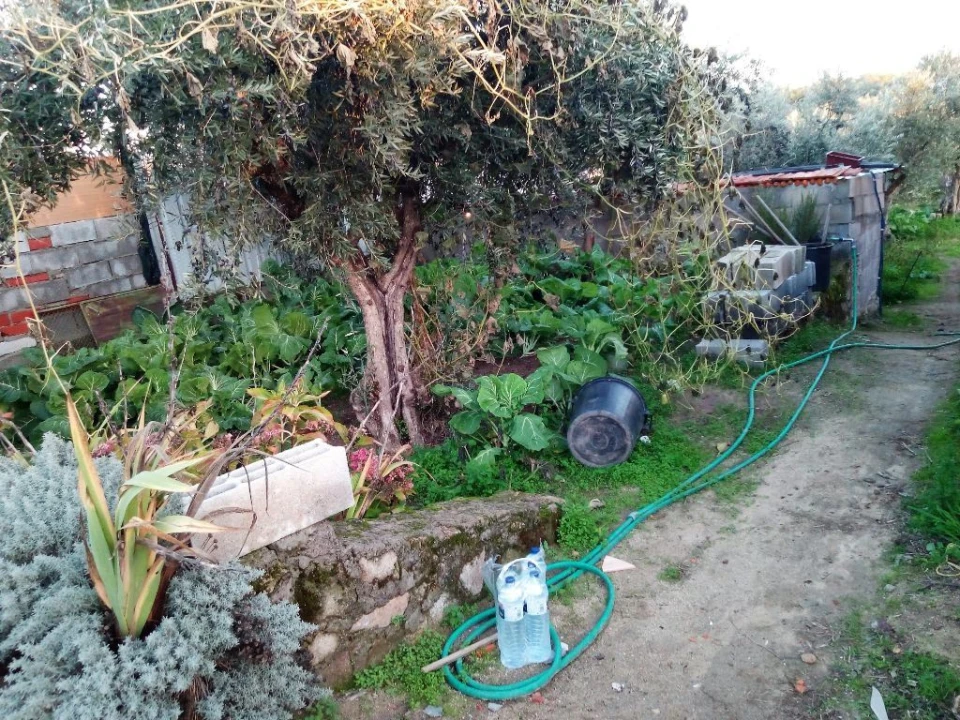 Quinta T1 para Venda em Póvoa de Rio de Moinhos e Cafede Foto 8