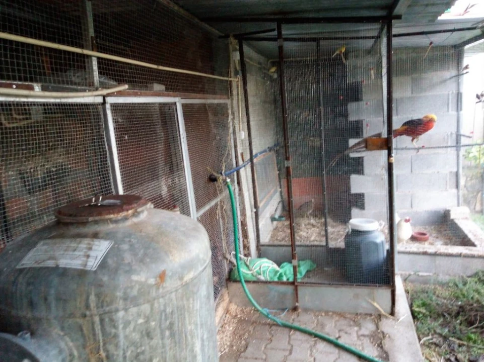 Quinta T1 para Venda em Póvoa de Rio de Moinhos e Cafede Foto 10