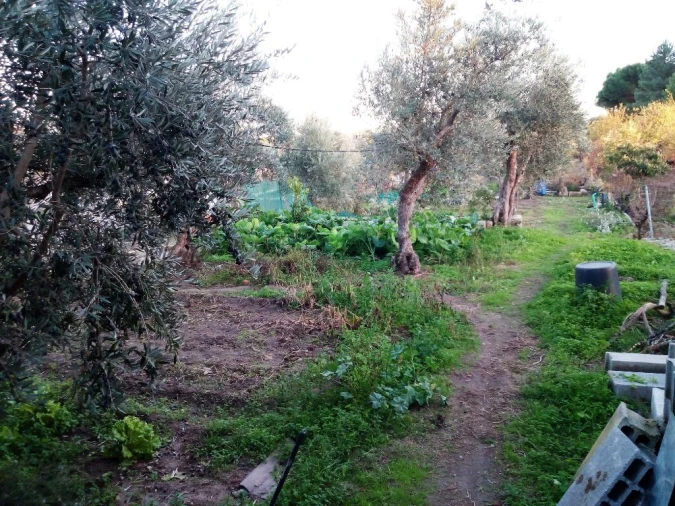 Quinta T1 para Venda em Póvoa de Rio de Moinhos e Cafede Foto 9