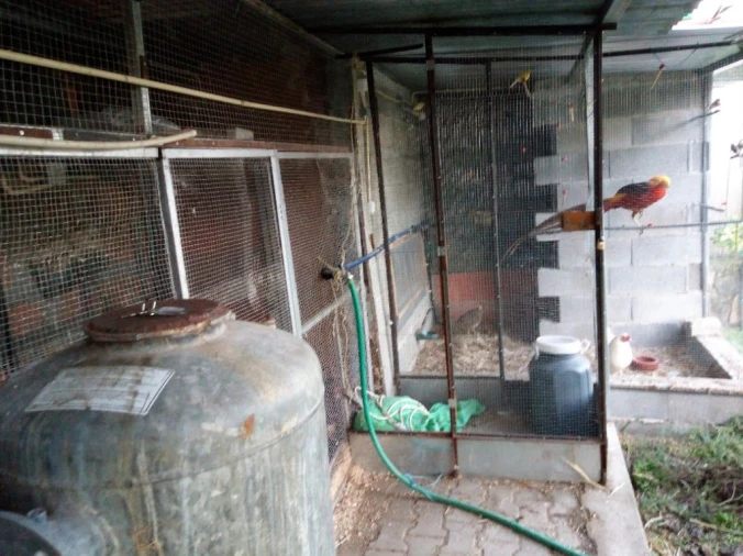 Quinta T1 para Venda em Póvoa de Rio de Moinhos e Cafede Foto 10