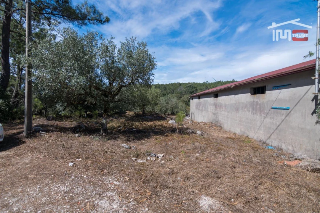 Armazém para Venda em São Mamede Foto 3