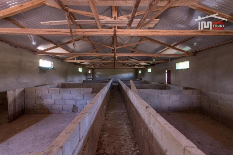 Armazém para Venda em São Mamede Foto 8