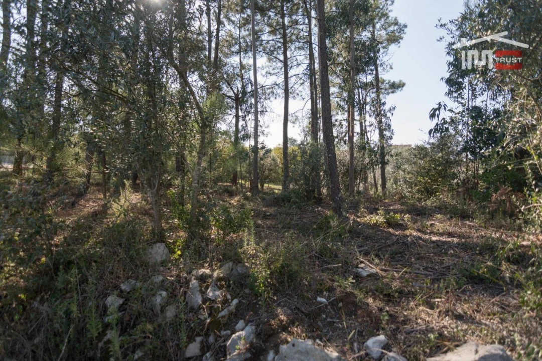 Terreno Agricola ou Rústico para Venda em Santa Catarina da Serra e Chainça Foto 4