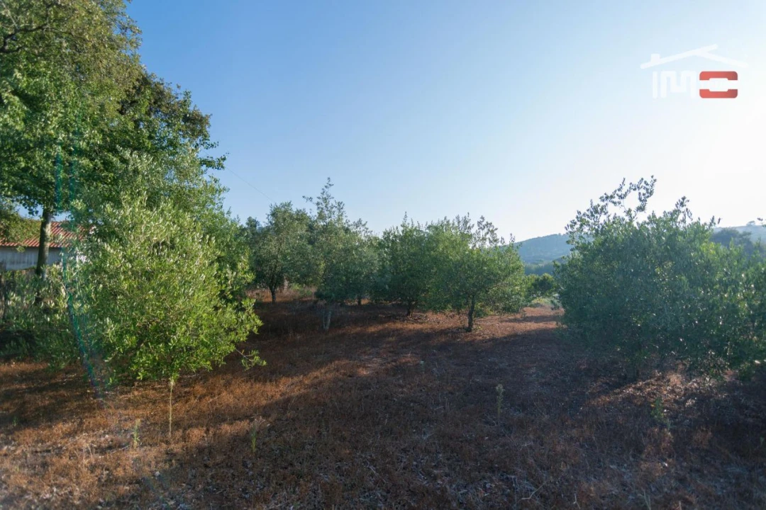 Terreno Agricola ou Rústico para Venda em Alqueidão da Serra Foto 6