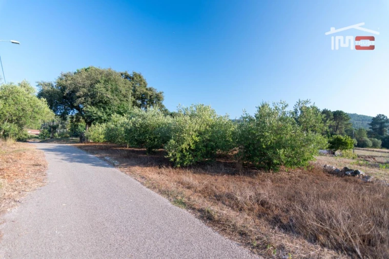 Terreno Agricola ou Rústico para Venda em Alqueidão da Serra Foto 3