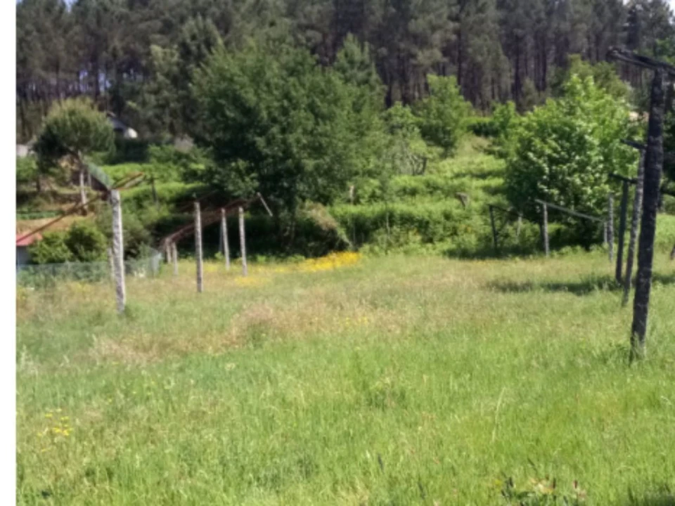 Terreno para Venda em Vila Garcia, Aboim e Chapa Foto 5