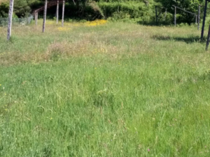 Terreno para Venda em Vila Garcia, Aboim e Chapa Foto 3