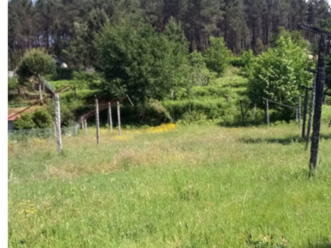Terreno para Venda em Vila Garcia, Aboim e Chapa Foto 5