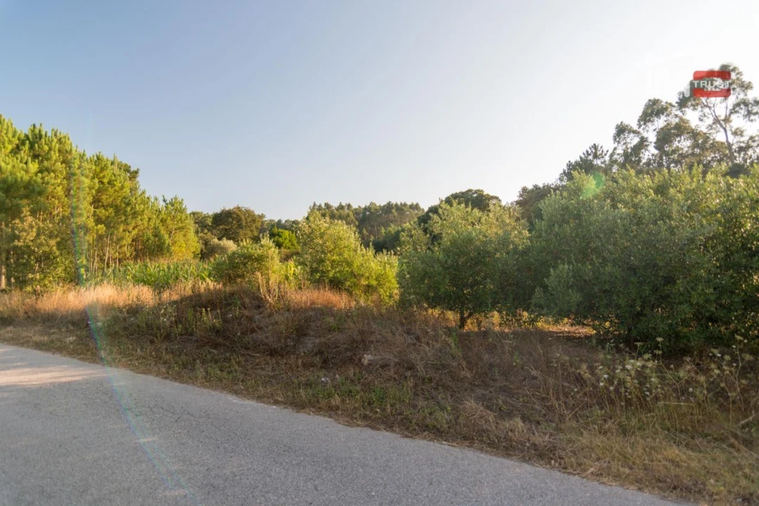 Terreno Agricola ou Rústico para Venda em Alqueidão da Serra Foto 4
