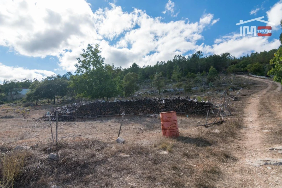 Terreno Agricola ou Rústico para Venda em Alqueidão da Serra Foto 5