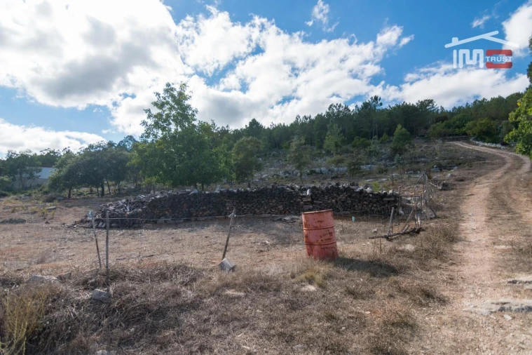 Terreno Agricola ou Rústico para Venda em Alqueidão da Serra Foto 5