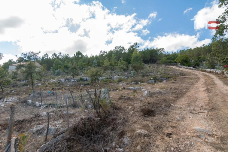 Terreno Agricola ou Rústico para Venda em Alqueidão da Serra Foto 7
