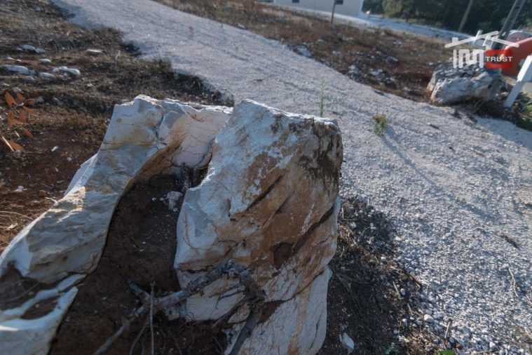 Terreno Agricola ou Rústico para Venda em Alqueidão da Serra Foto 5