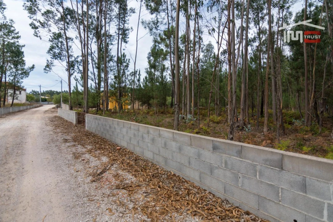 Terreno Agricola ou Rústico para Venda em São Mamede Foto 1