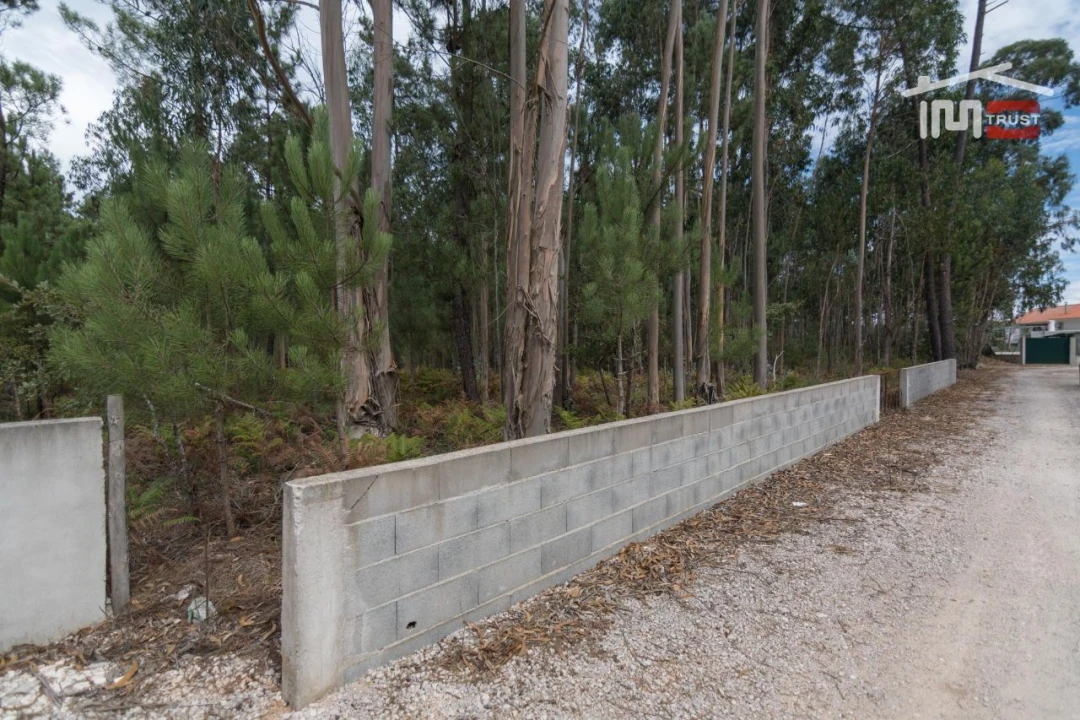 Terreno Agricola ou Rústico para Venda em São Mamede Foto 5