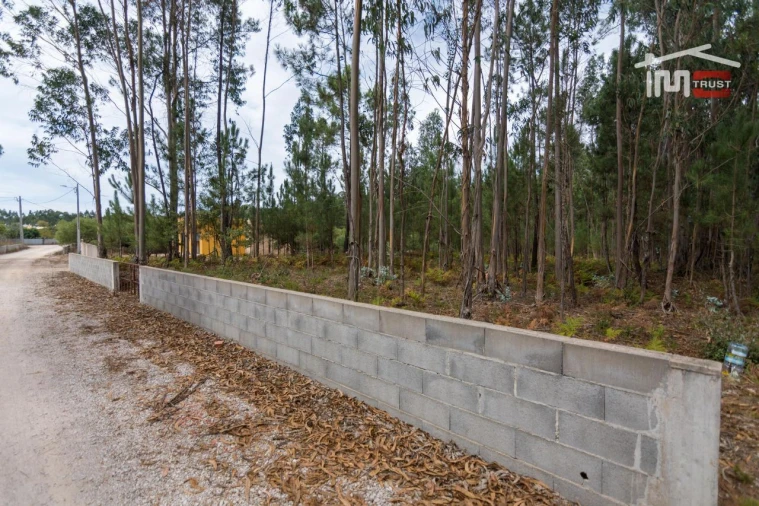 Terreno Agricola ou Rústico para Venda em São Mamede Foto 2