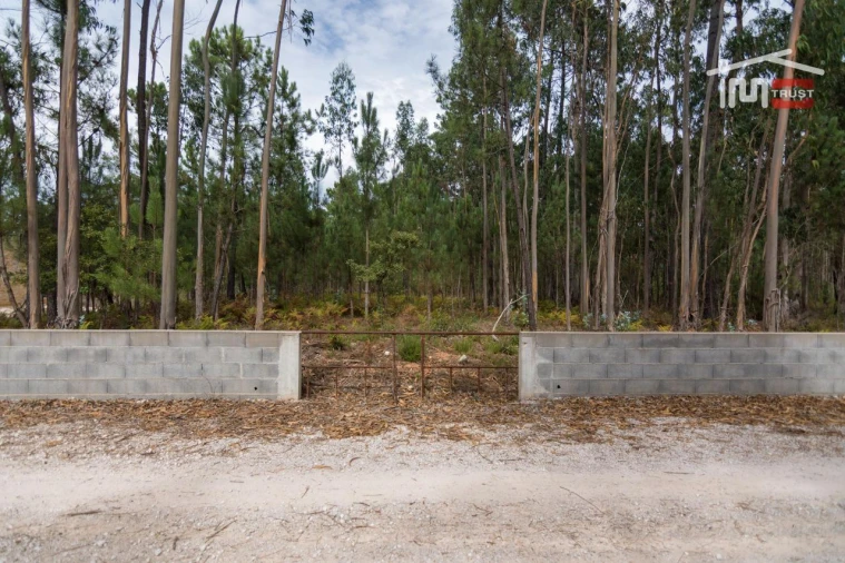 Terreno Agricola ou Rústico para Venda em São Mamede Foto 3