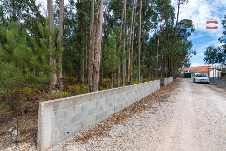Terreno Agricola ou Rústico para Venda em São Mamede Foto 4