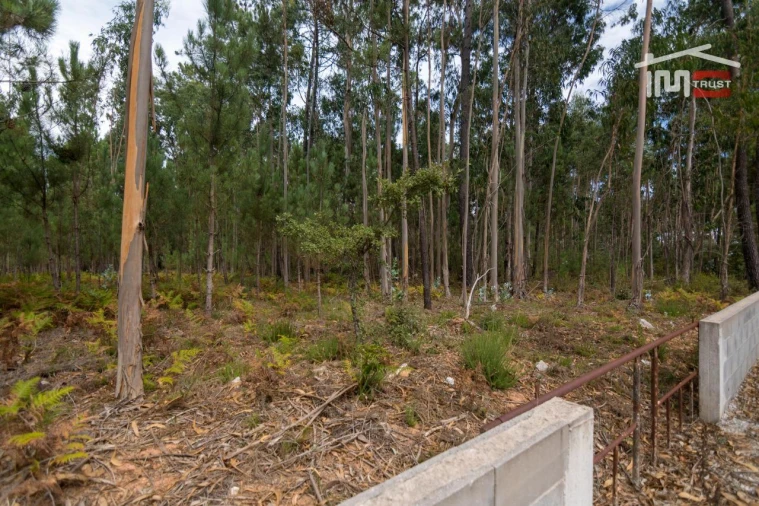 Terreno Agricola ou Rústico para Venda em São Mamede Foto 7