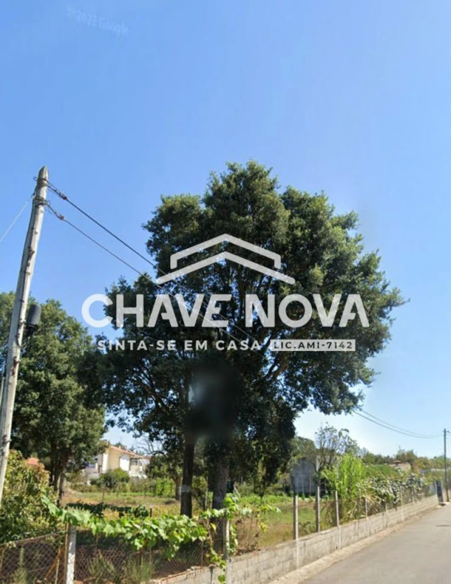 Terreno Agricola ou Rústico para Venda em Anta e Guetim Foto 3