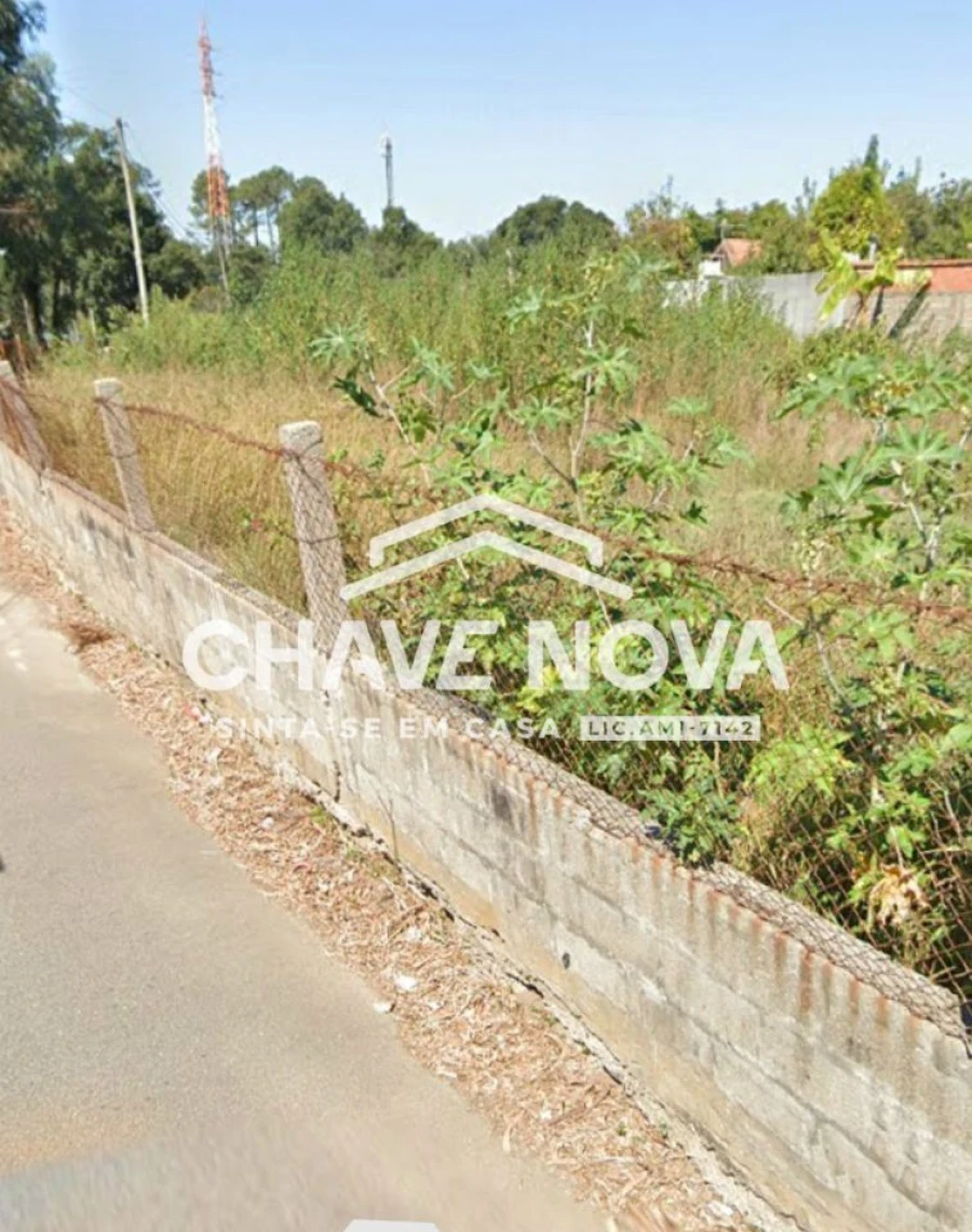 Terreno Agricola ou Rústico para Venda em Anta e Guetim Foto 4