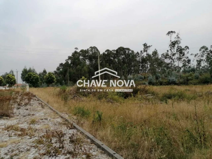 Terreno P/ Prédio para Venda em Fajões Foto 2