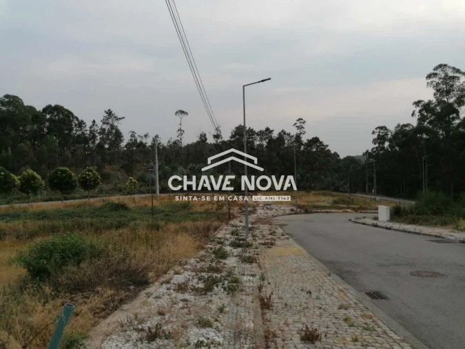 Terreno P/ Prédio para Venda em Fajões Foto 3