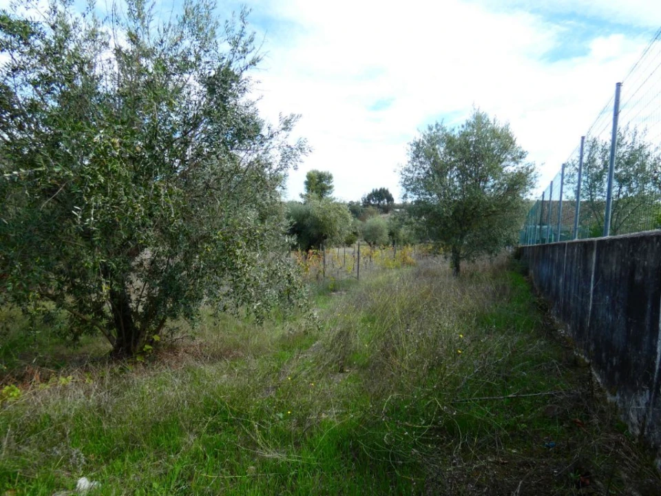 Terreno Agricola ou Rústico para Venda em Nossa Senhora da Graça de Povoa e Meadas Foto 4