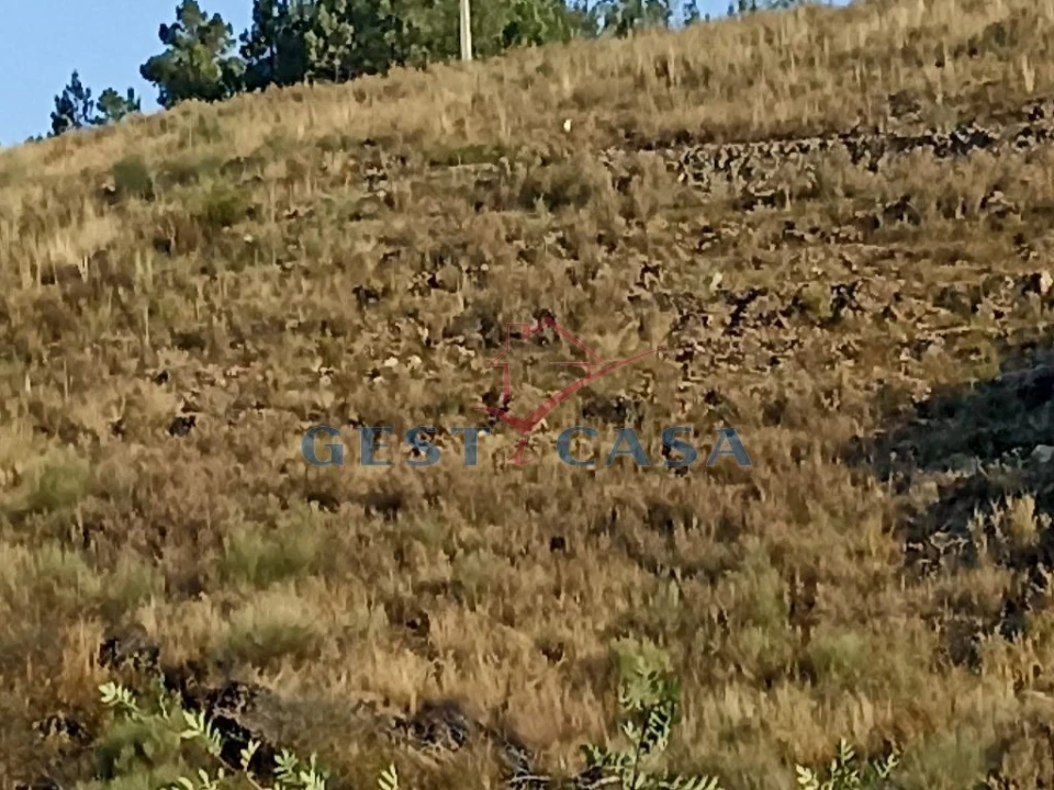 Terreno Agricola ou Rústico para Venda em Castelo Branco Foto 6