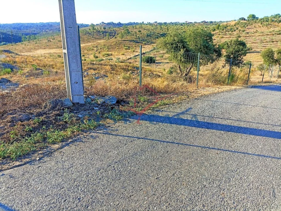 Terreno Agricola ou Rústico para Venda em Castelo Branco Foto 1