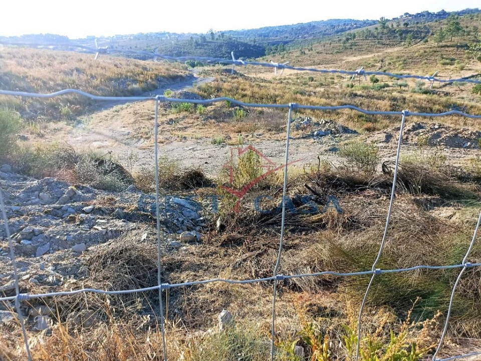 Terreno Agricola ou Rústico para Venda em Castelo Branco Foto 2