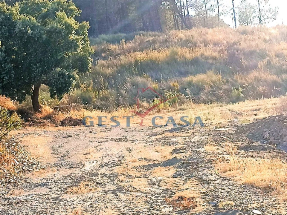Terreno Agricola ou Rústico para Venda em Castelo Branco Foto 3