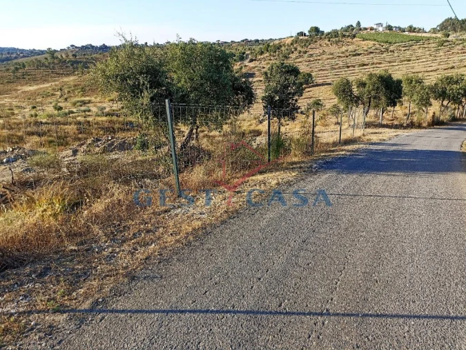 Terreno Agricola ou Rústico para Venda em Castelo Branco Foto 12