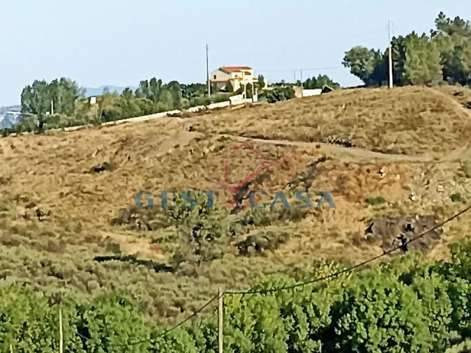 Terreno Agricola ou Rústico para Venda em Castelo Branco Foto 4