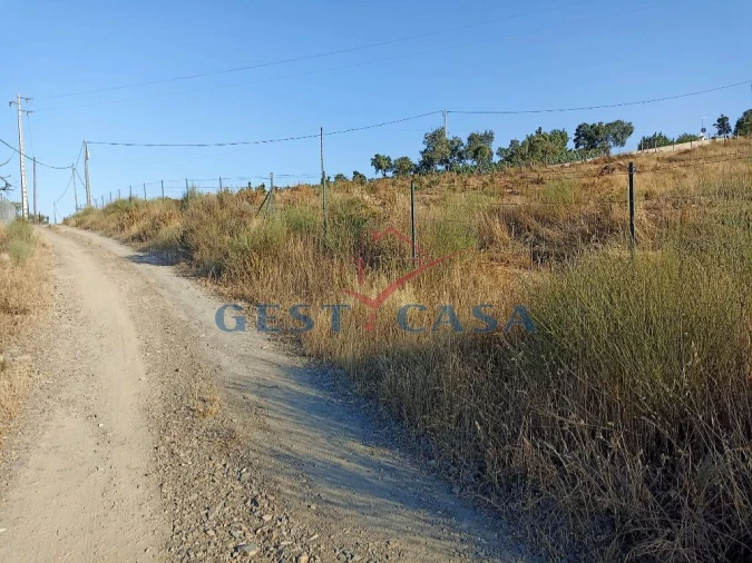 Terreno Agricola ou Rústico para Venda em Castelo Branco Foto 8