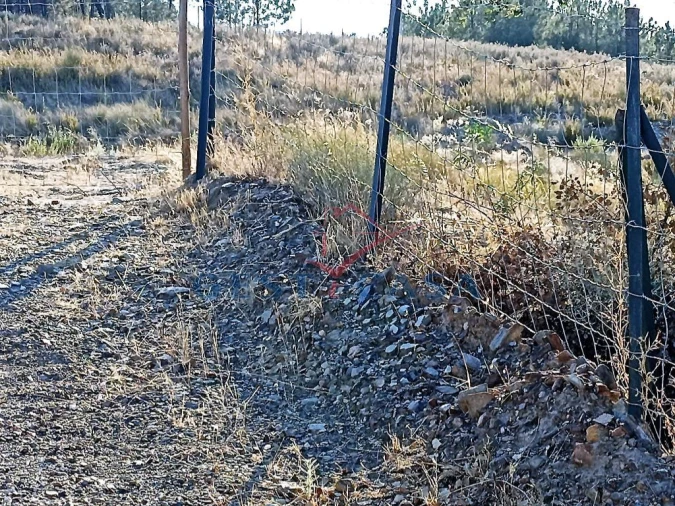 Terreno Agricola ou Rústico para Venda em Castelo Branco Foto 10